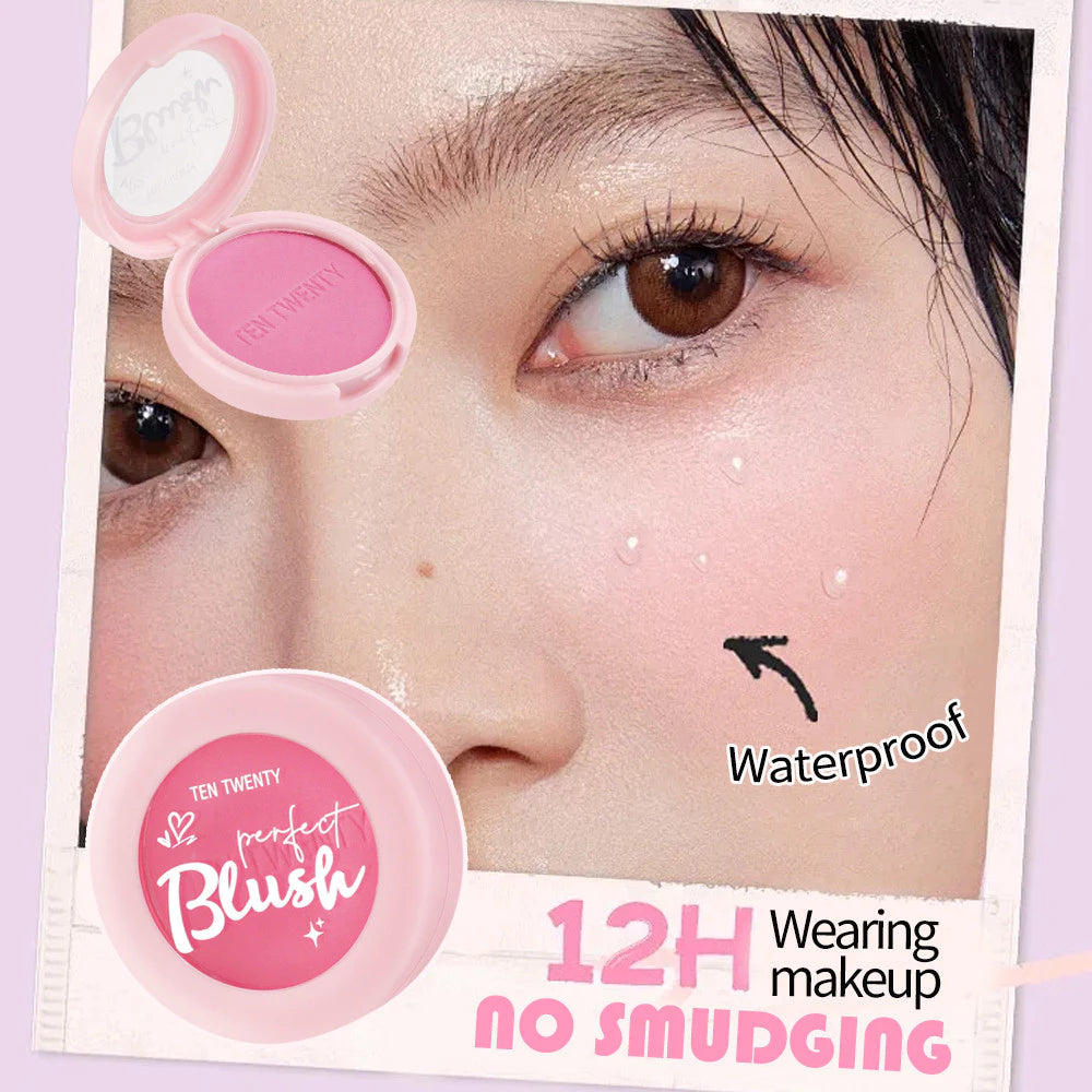 TEN TWENTY Waterproof Blush Powder Natural Pigmented Matte Highlight Brighten Contour Nude Cosmetics