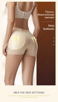 Z12 - Hip Pads Lifter Hip Enhancer Body Shaper Seamless Underwear Control Panties