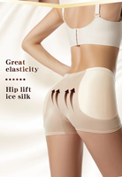 Z12 - Hip Pads Lifter Hip Enhancer Body Shaper Seamless Underwear Control Panties