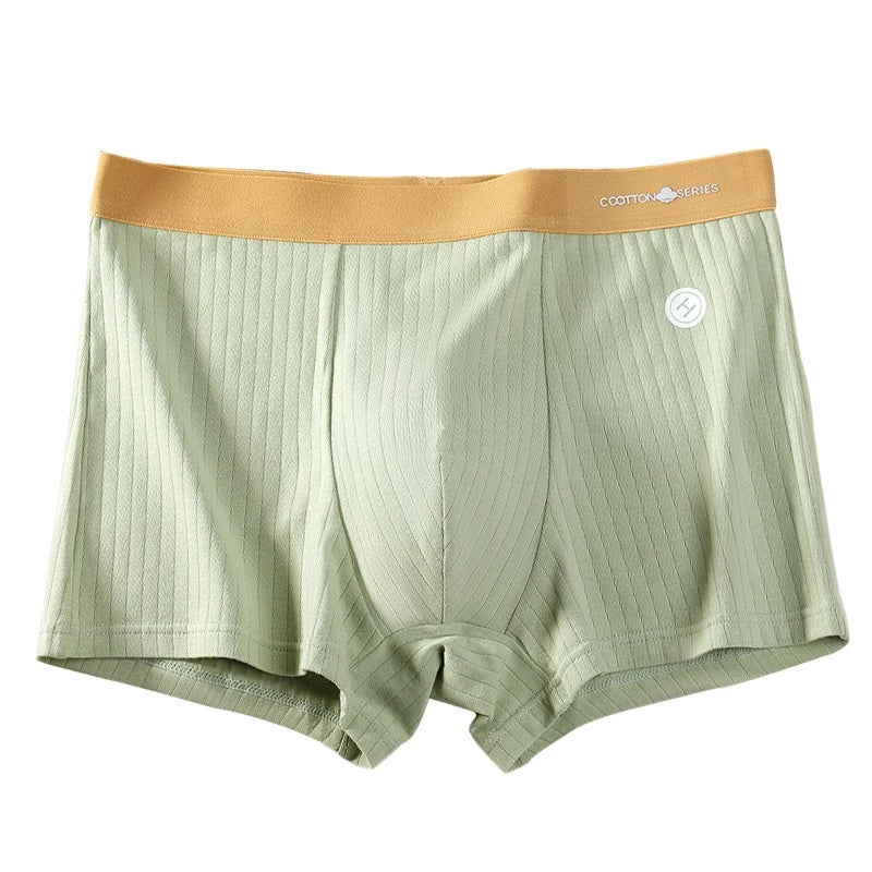 5PCS Men's Cotton Boxer Plus Size Briefs For mMen High Quality Comforts Underpanties