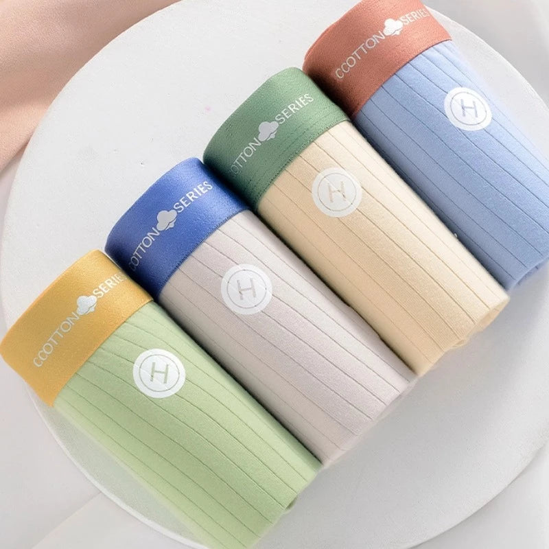 5PCS Men's Cotton Boxer Plus Size Briefs For mMen High Quality Comforts Underpanties